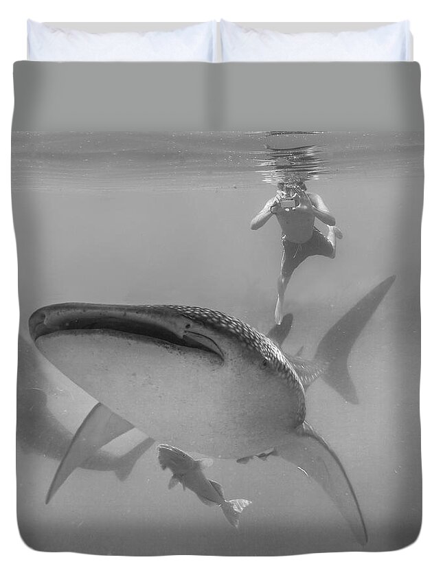 Disk1215 Duvet Cover featuring the photograph Swimming With The Big Fish by Tim Fitzharris
