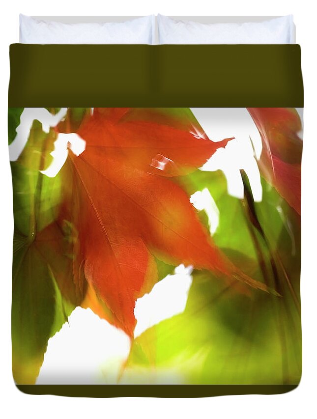 Outdoors Duvet Cover featuring the photograph Swirling Autumn Leaves Against White Sky by David Mcglynn