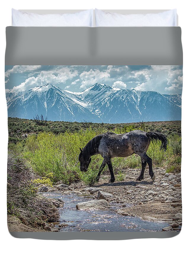  Duvet Cover featuring the photograph _t__0634 by John T Humphrey
