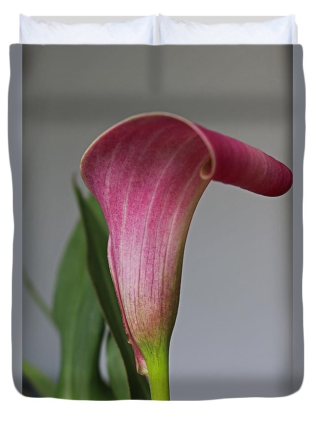 Calla Lily Duvet Cover featuring the photograph Take Chances by Michiale Schneider