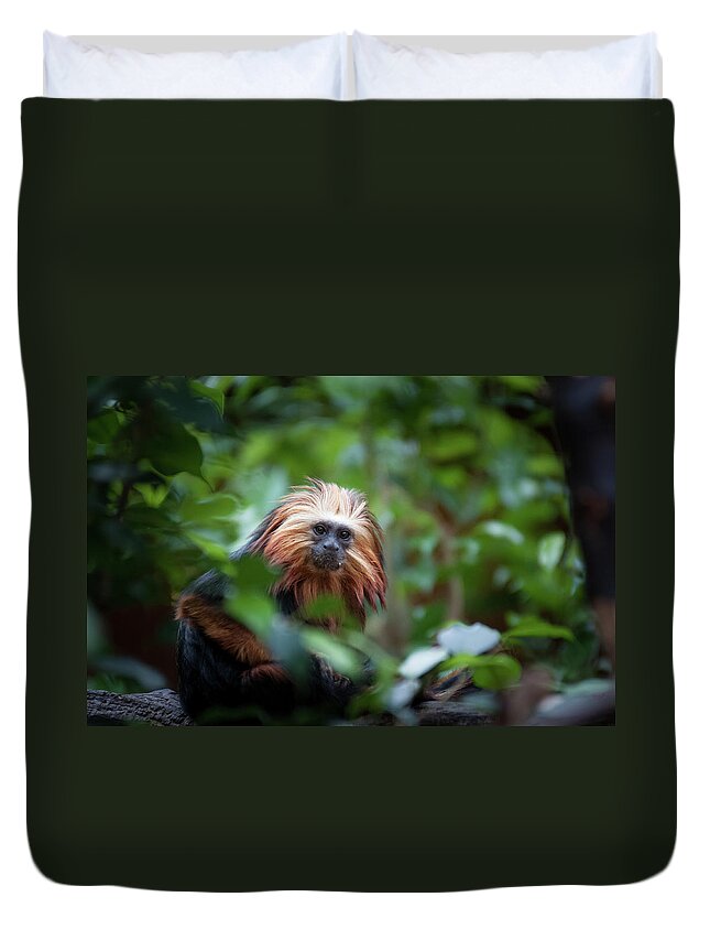 Animal Themes Duvet Cover featuring the photograph Tamarind by Jon Wild