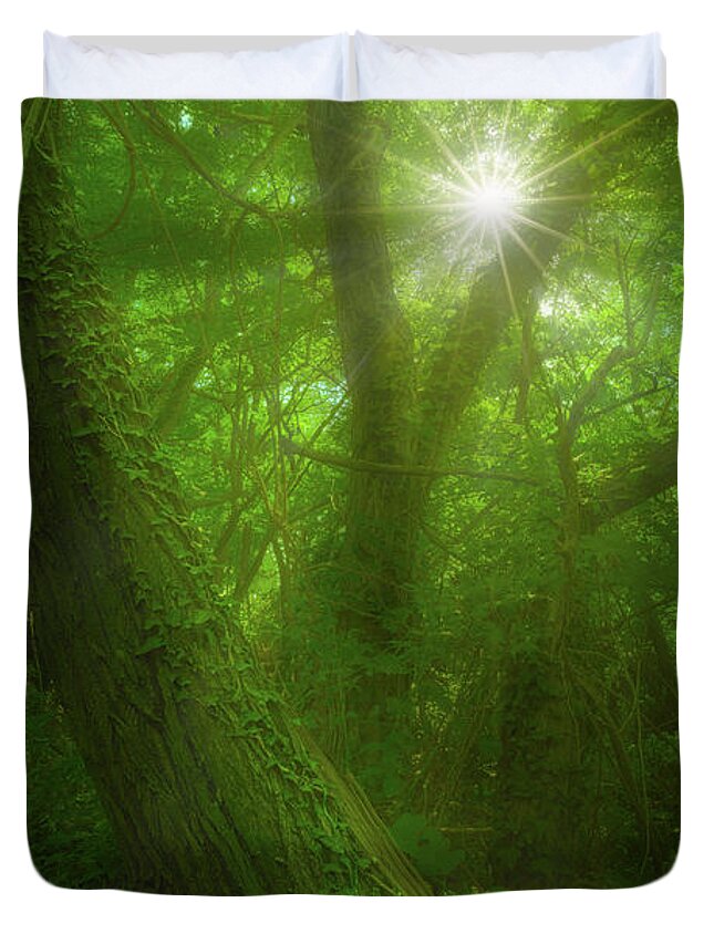 Forest Duvet Cover featuring the photograph Tangled by Giovanni Allievi