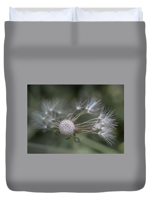 Dandelion Duvet Cover featuring the photograph That's Just Dandy by Dusty Wynne