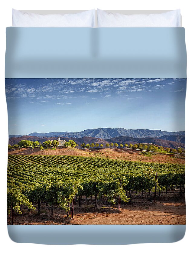  Duvet Cover featuring the photograph Temecula Winery and Lioness Vineyard by Catherine Walters