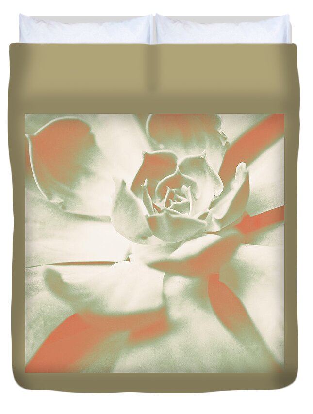 Terracotta Duvet Cover featuring the photograph Terracotta Succulent by Susan Bryant