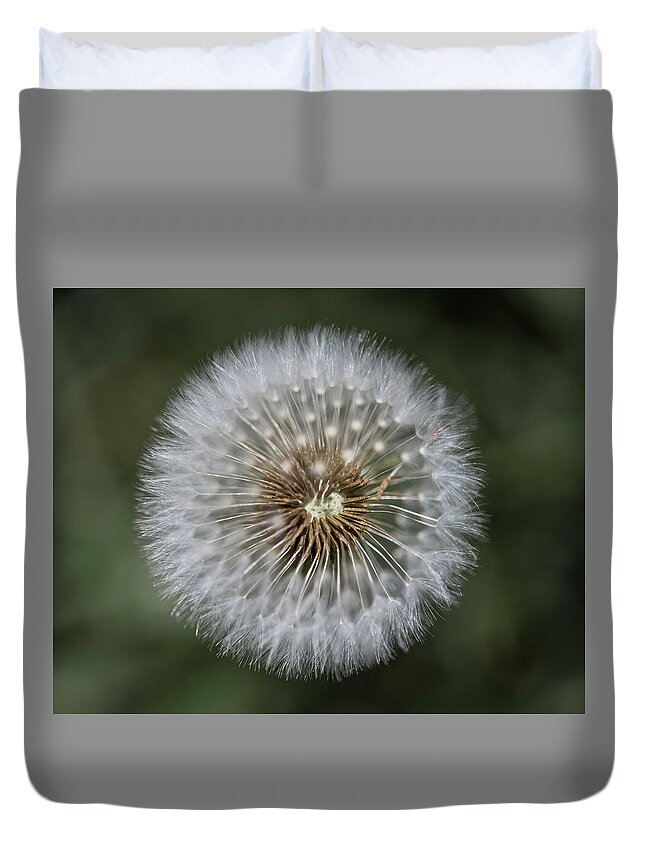 Dandelion Duvet Cover featuring the photograph That's Just Dandy 6 by Dusty Wynne