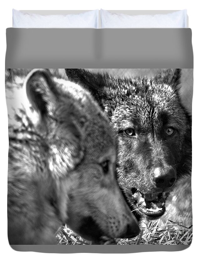 Wolf Duvet Cover featuring the photograph That's My Bone Black And White by Adam Jewell