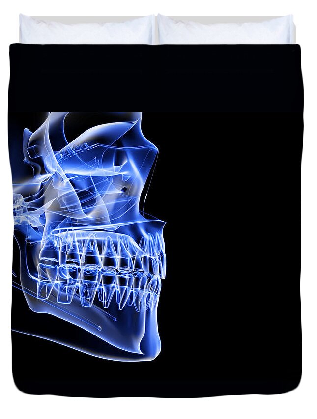 Anatomy Duvet Cover featuring the digital art The Bones Of The Jaw by Medicalrf.com