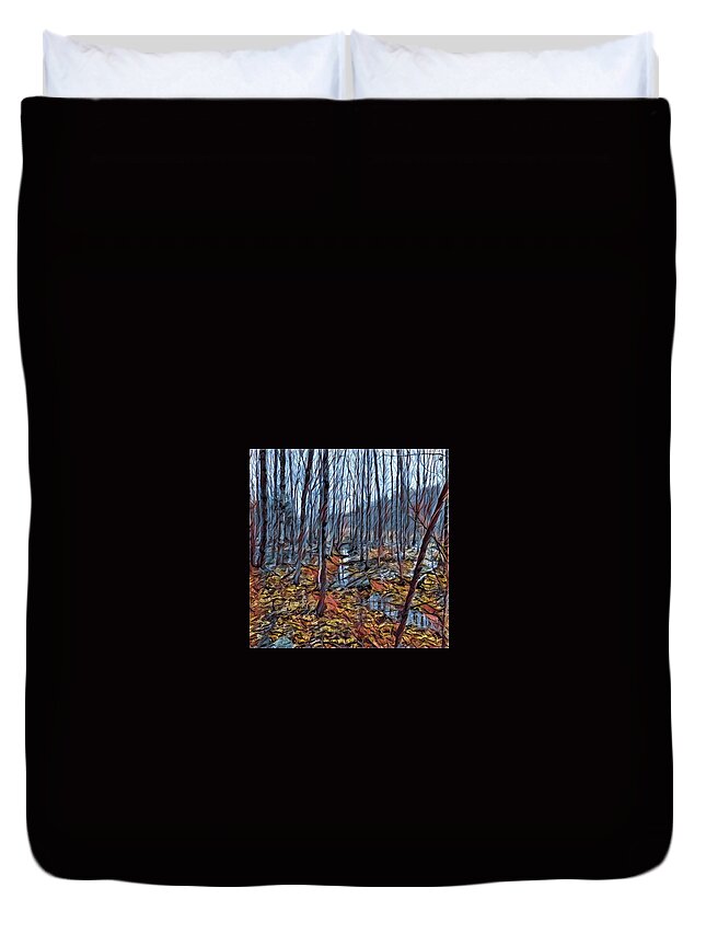 Photoshopped Photo. Duvet Cover featuring the digital art The brook at the end of the beaver pond by Steve Glines