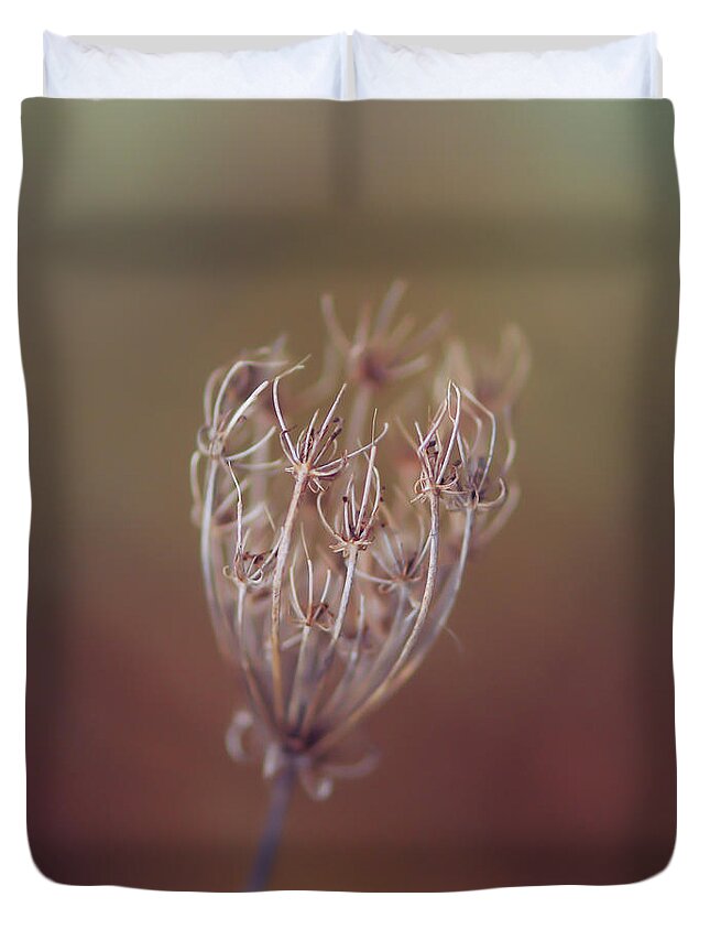 Queen Anne's Lace Duvet Cover featuring the photograph The Exquisite Handiwork of Nature by Kerri Farley