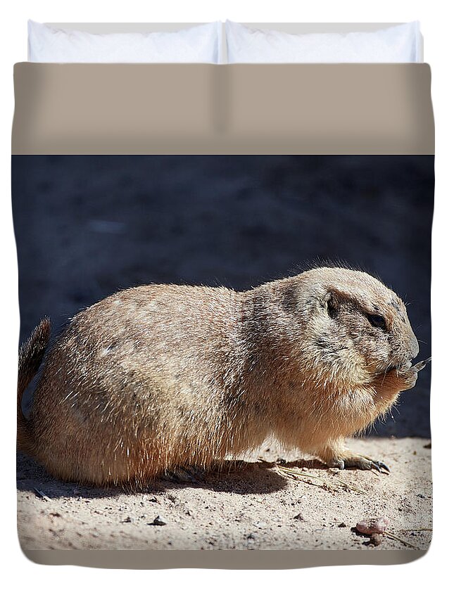 Rodentia Duvet Cover featuring the photograph The Finger by Robert WK Clark