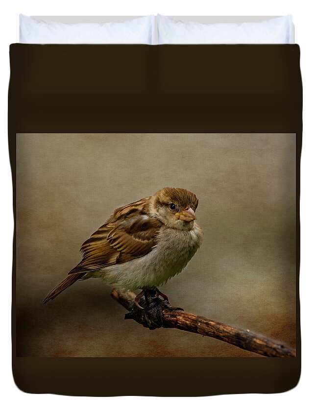 Bird Duvet Cover featuring the photograph The Fledgeling by Cathy Kovarik