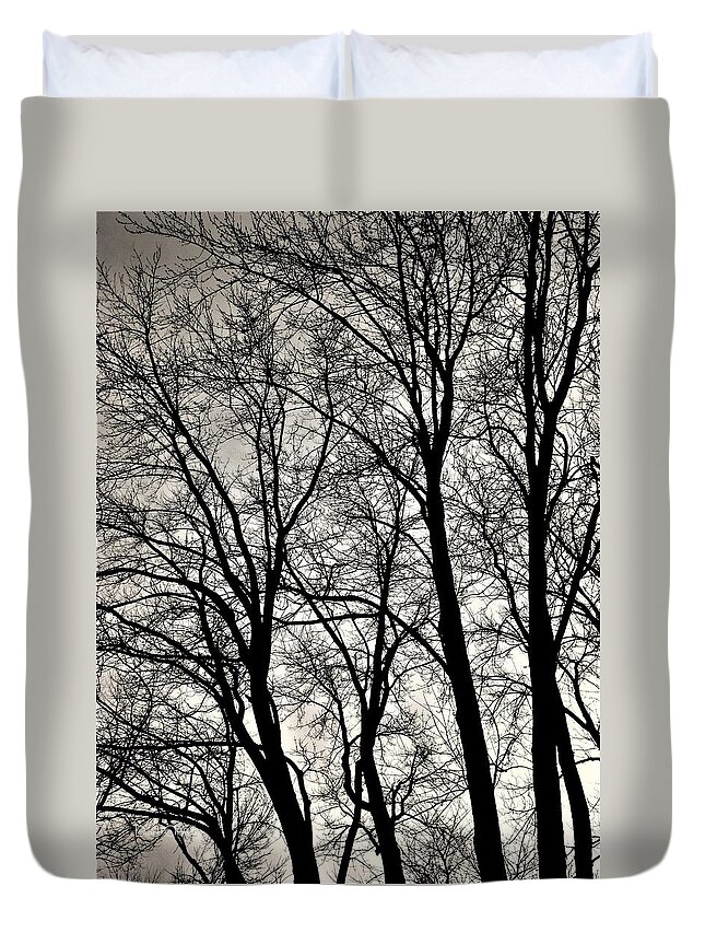Trees Duvet Cover featuring the photograph The Gloaming by Diane Chandler