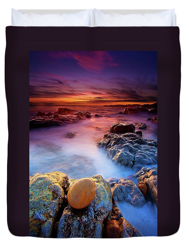 Water's Edge Duvet Cover featuring the photograph The Golden Egg by Andrew Davies