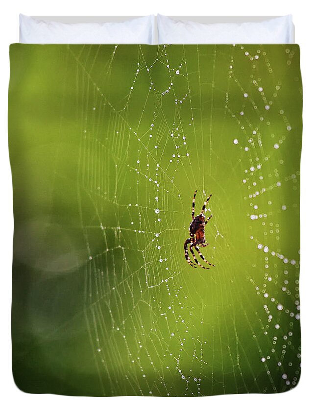 Spider Duvet Cover featuring the photograph The great architect in the morning light by Tatiana Travelways