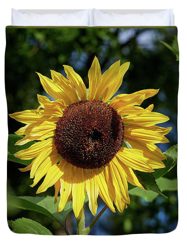 Finland Duvet Cover featuring the photograph The Great Sunflower by Jouko Lehto