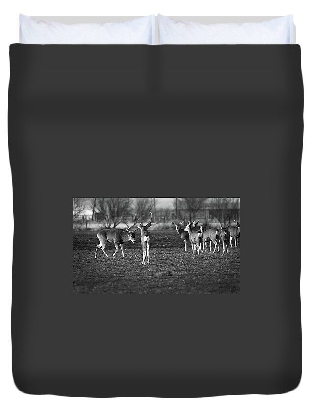 Richard E. Porter Duvet Cover featuring the photograph Squaring Off - Deer, Texas Panhandle by Richard Porter