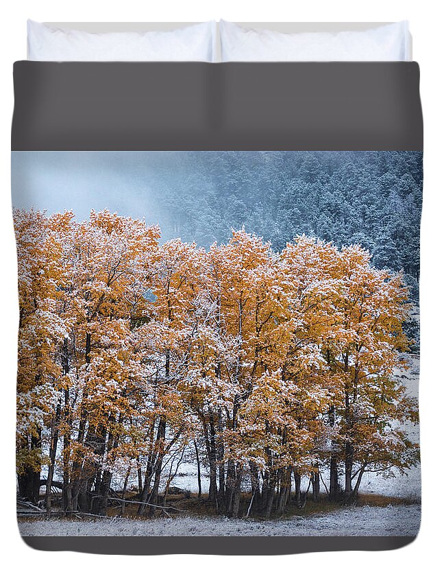 Autumn Duvet Cover featuring the photograph The Last In Line by John De Bord
