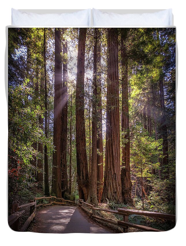 Muir Woods Duvet Cover featuring the photograph The Redwood Grove by Kristen Wilkinson