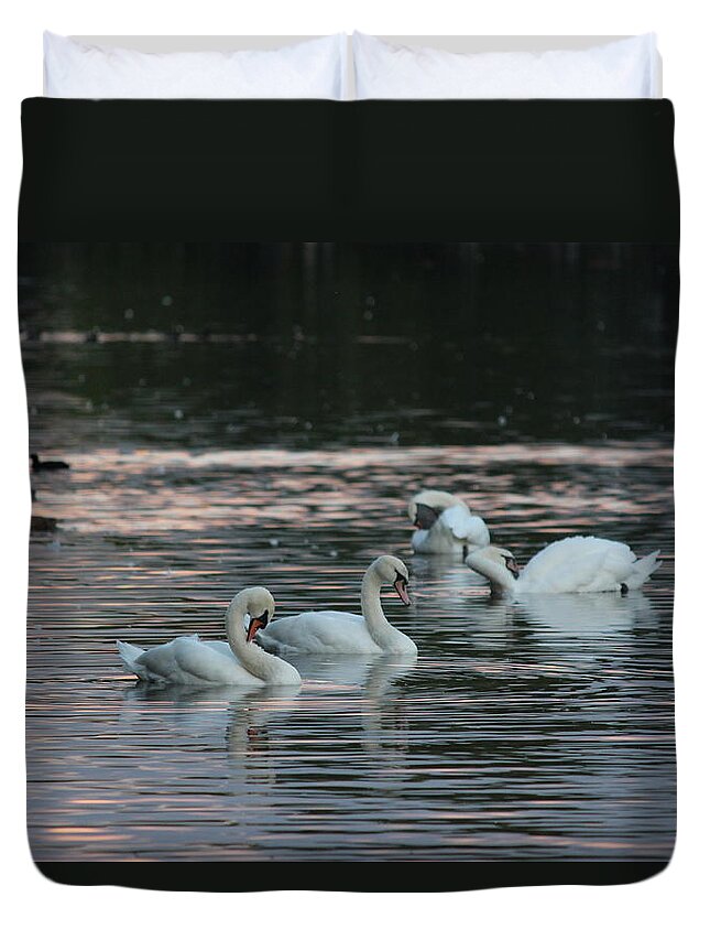 Park Duvet Cover featuring the photograph The Serpentine's Swans and Ducks by Laura Smith