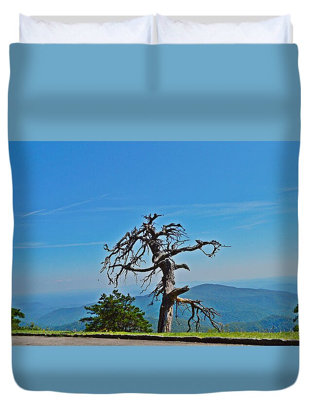 Dead Tree Duvet Cover featuring the photograph The Survivor by Stacie Siemsen