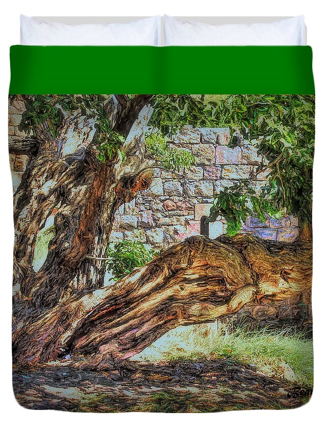 Trees Duvet Cover featuring the photograph The Walnut Tree by Bearj B Photo Art