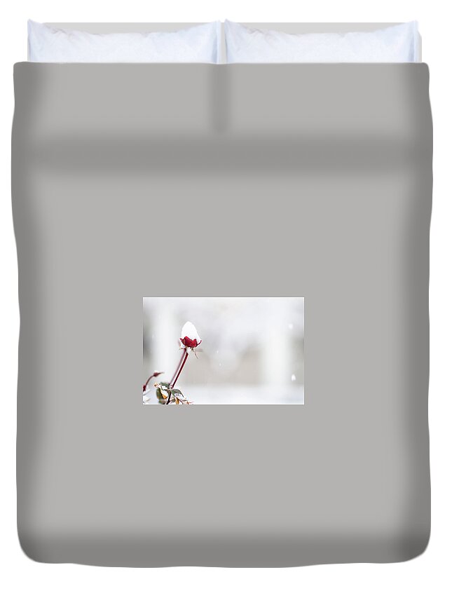 Dc Duvet Cover featuring the painting The White House Grounds Covered in Snow 2 by Celestial Images