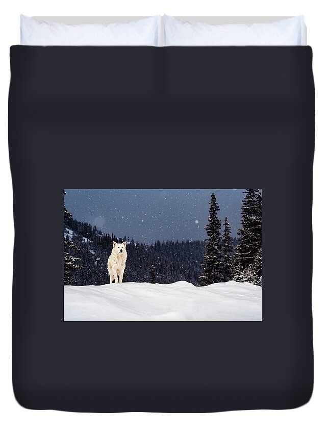 Animals Duvet Cover featuring the photograph The Wolf by Evgeni Dinev