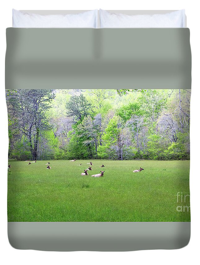 There Is Peace In The Air Duvet Cover featuring the photograph There Is Peace In The Air by Felix Lai