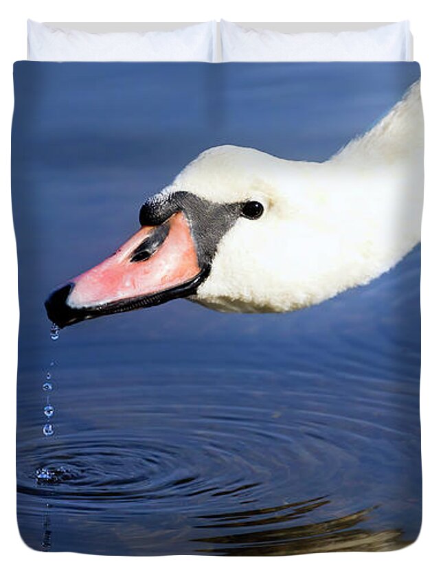 Swan Duvet Cover featuring the photograph Thirsty Swan by Terri Waters