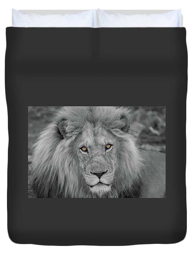 Selective Color Duvet Cover featuring the photograph Those Eyes by Randy Robbins