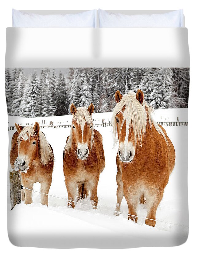 Horse Duvet Cover featuring the photograph Three Horses by Angiephotos