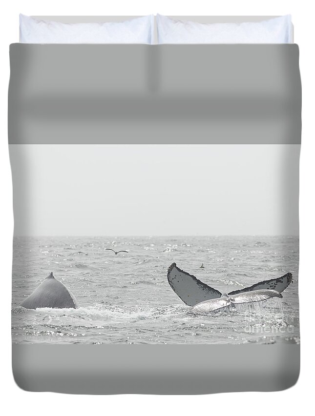Whales Duvet Cover featuring the photograph Three Humpbacks by Natural Focal Point Photography