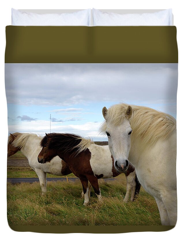 Iceland Duvet Cover featuring the photograph Three icelandic horses at Helgafell #2 by RicardMN Photography