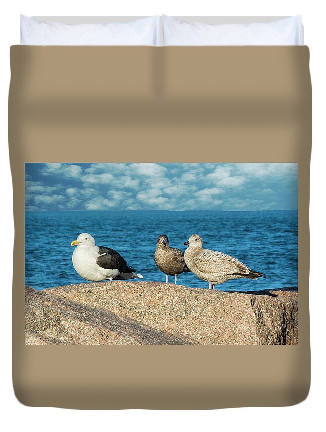 Gulls Duvet Cover featuring the photograph Three On The Rocks by Cathy Kovarik