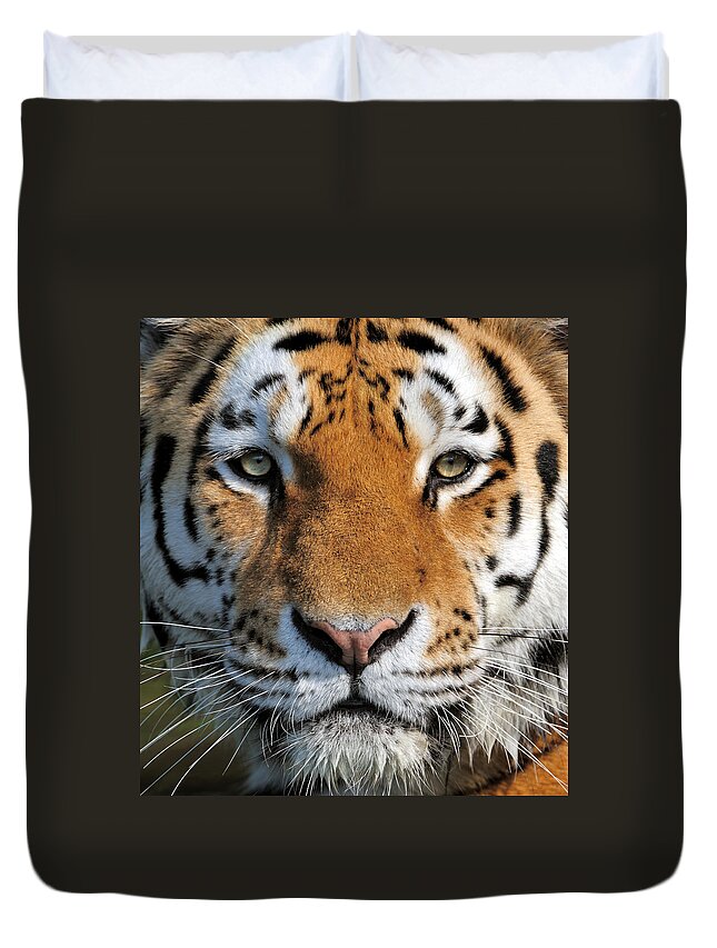 Big Cat Duvet Cover featuring the photograph Tiger by Freder