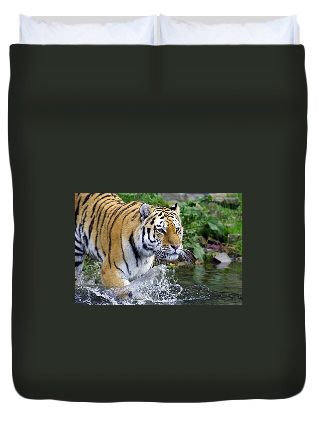 Animal Duvet Cover featuring the photograph Tiger Goes Into The Water by Schnuddel