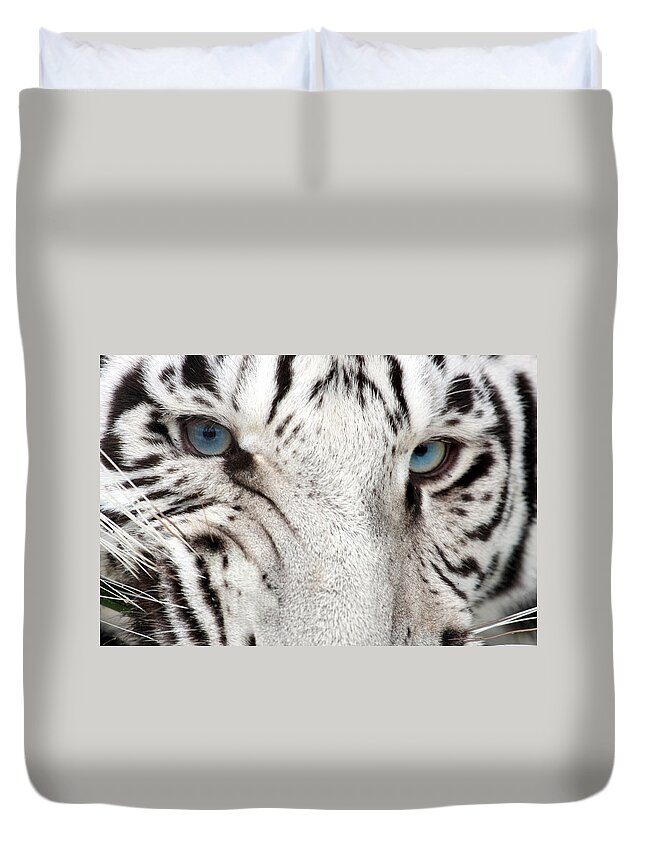 Vertebrate Duvet Cover featuring the photograph Tiger Snarl by Stephdk70