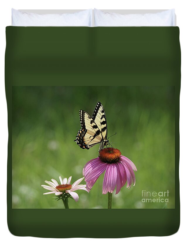 Butterfly Duvet Cover featuring the photograph Tiger Swallowtail Butterfly and Coneflowers by Robert E Alter Reflections of Infinity