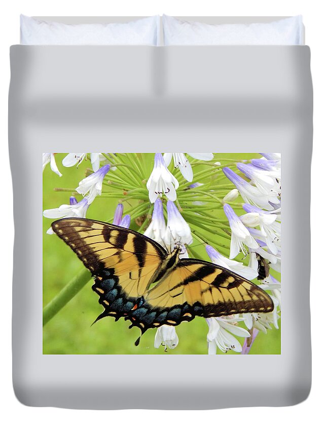 Butterfly Duvet Cover featuring the photograph Tiger Swallowtail II by Karen Stansberry