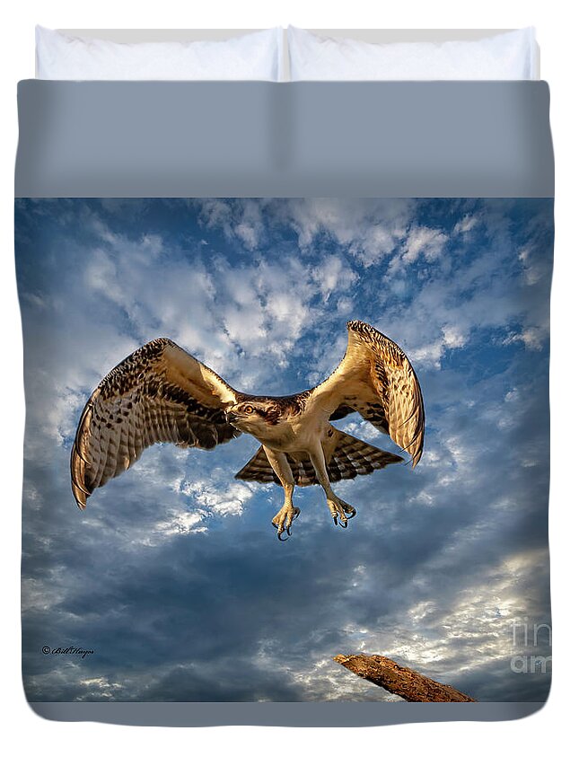 Ospreys Duvet Cover featuring the photograph Time To Fly TWO by DB Hayes