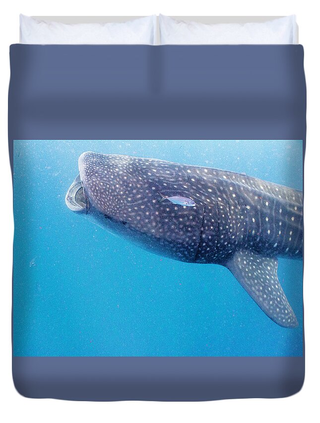 Ocean Duvet Cover featuring the photograph Time To Krill by Lynne Browne