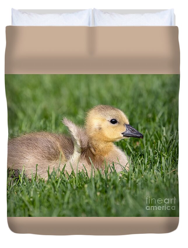 Photography Duvet Cover featuring the photograph Tiny Wings by Alma Danison
