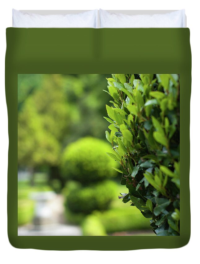 Tranquility Duvet Cover featuring the photograph Topiary Bay Trees by Jill Ferry