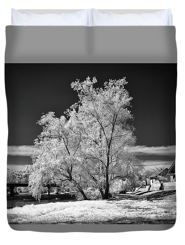 Top Artist Duvet Cover featuring the photograph Tree Along the River Krka by Norman Gabitzsch