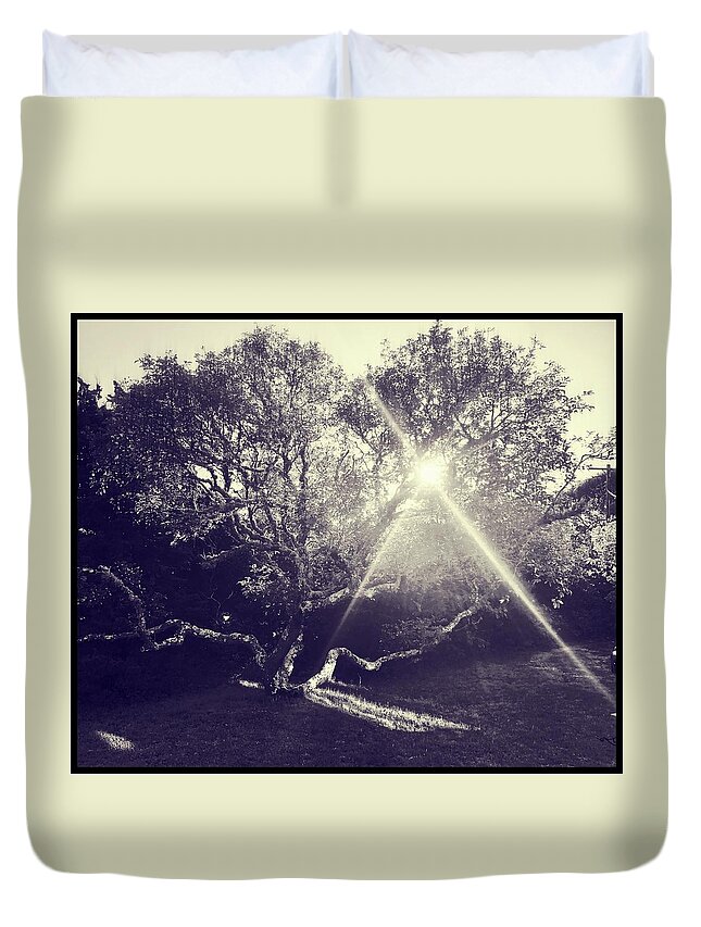 Tree Duvet Cover featuring the photograph Tree at Sunset by Frank Winters