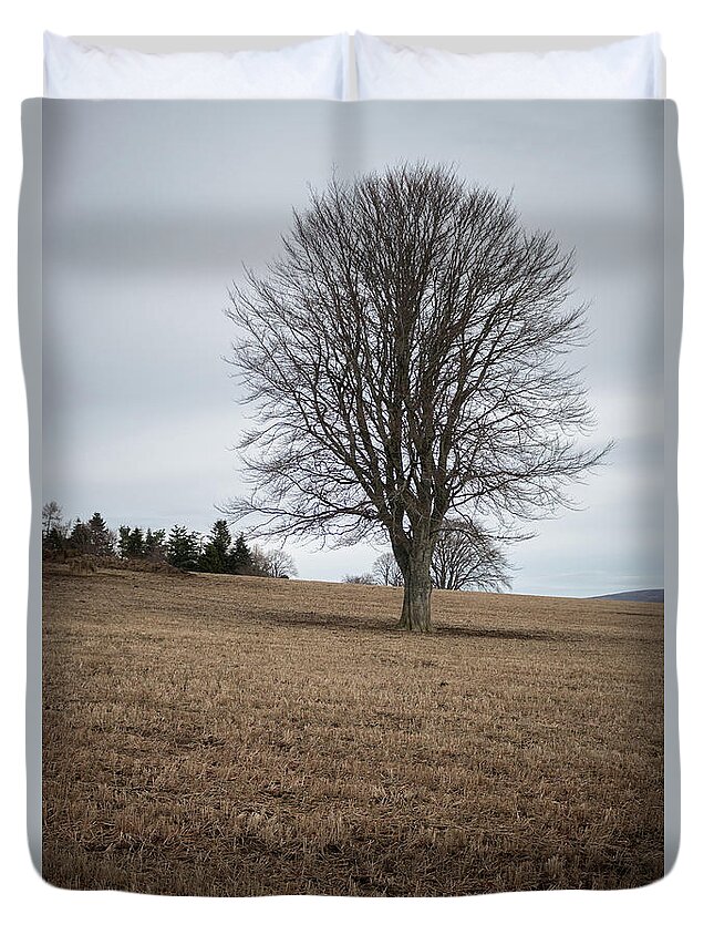 Aberdeenshire Duvet Cover featuring the photograph Tree in Field by SJ Elliott Photography