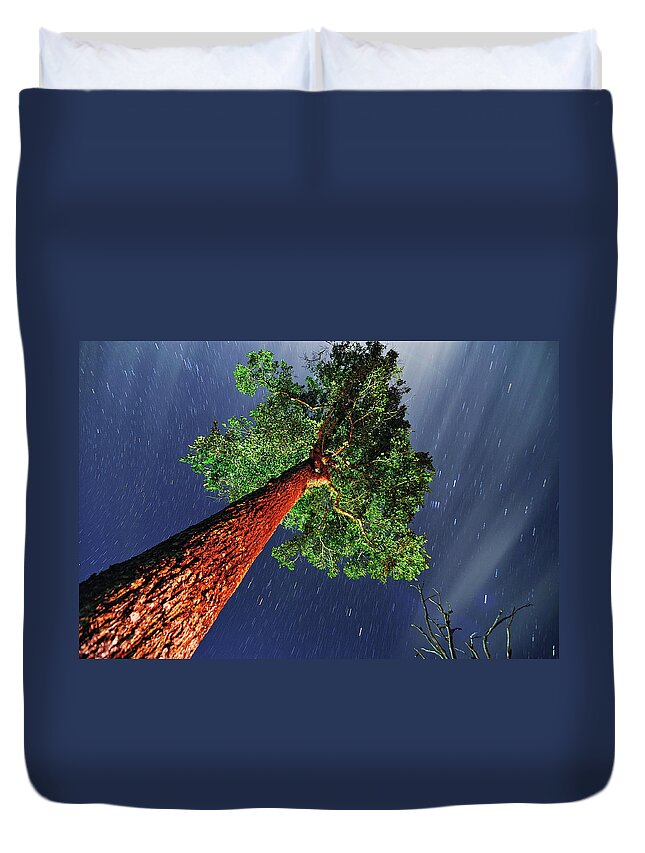 Majestic Duvet Cover featuring the photograph Tree Of Eternity by Nutexzles