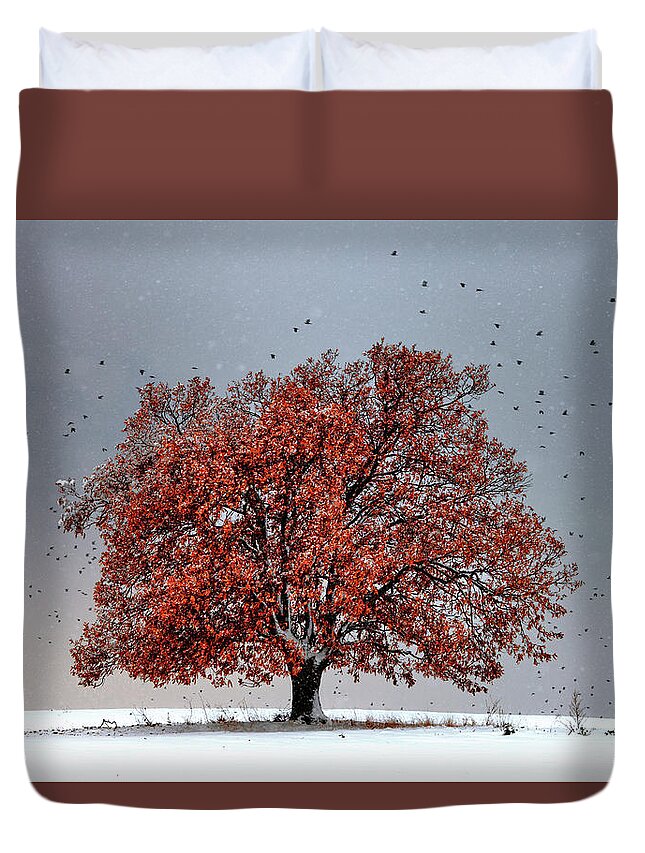Bulgaria Duvet Cover featuring the photograph Tree Of Life by Evgeni Dinev