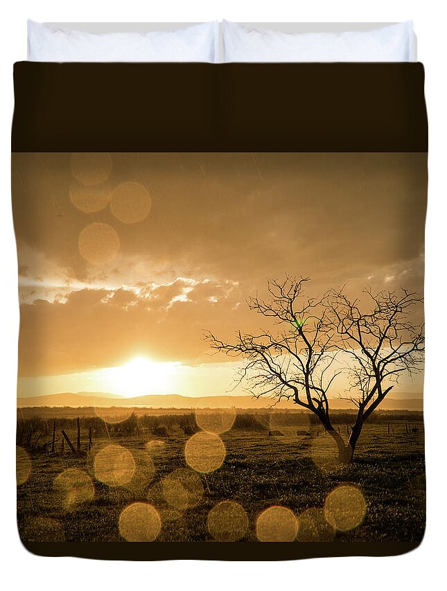 Sunset Duvet Cover featuring the photograph Tree Sunset by Wesley Aston